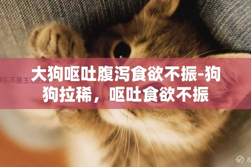 大狗嘔吐腹瀉食欲不振-狗狗拉稀，嘔吐食欲不振