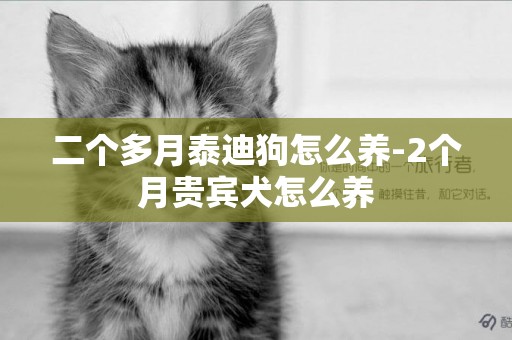 二個多月泰迪狗怎么養-2個月貴賓犬怎么養