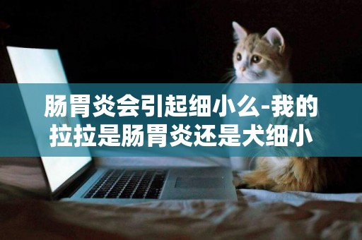 腸胃炎會引起細小么-我的拉拉是腸胃炎還是犬細小