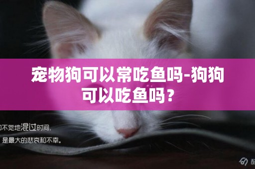 寵物狗可以常吃魚嗎-狗狗可以吃魚嗎？
