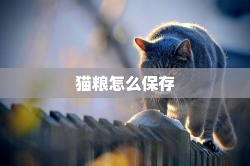 貓糧怎么保存