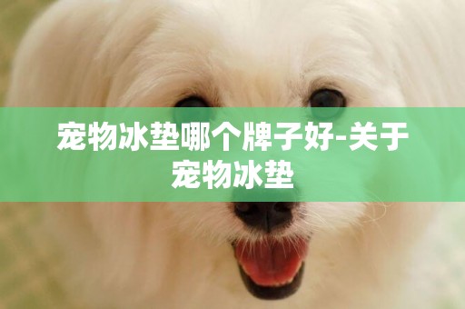 寵物冰墊哪個牌子好-關于寵物冰墊