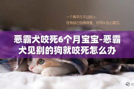 惡霸犬咬死6個月寶寶-惡霸犬見別的狗就咬死怎么辦