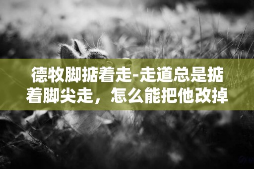 德牧腳掂著走-走道總是掂著腳尖走，怎么能把他改掉