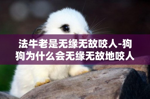 法牛老是無緣無故咬人-狗狗為什么會無緣無故地咬人呢？