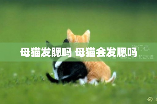 母貓發腮嗎 母貓會發腮嗎