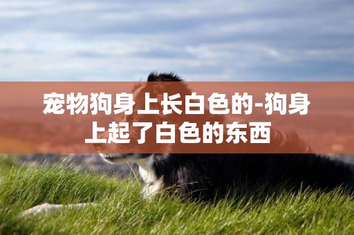 寵物狗身上長白色的-狗身上起了白色的東西
