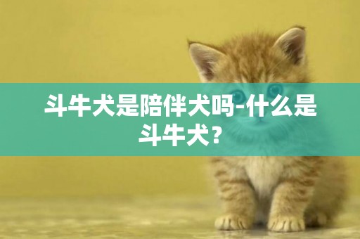 斗牛犬是陪伴犬嗎-什么是斗牛犬？