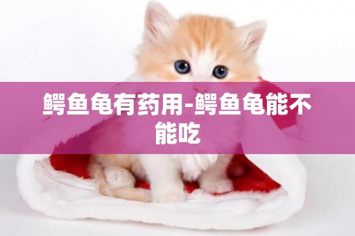 鱷魚龜有藥用-鱷魚龜能不能吃