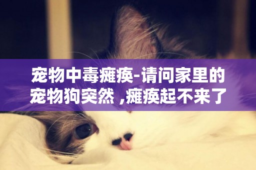 寵物中毒癱瘓-請問家里的寵物狗突然 ,癱瘓起不來了是什么原因。