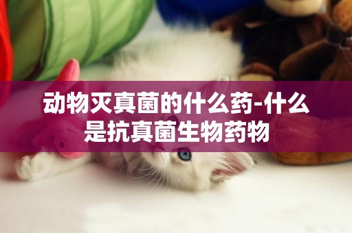 動物滅真菌的什么藥-什么是抗真菌生物藥物