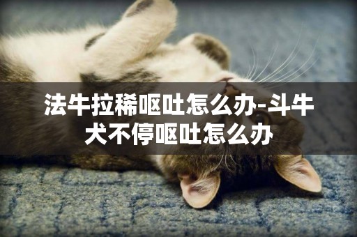 法牛拉稀嘔吐怎么辦-斗牛犬不停嘔吐怎么辦