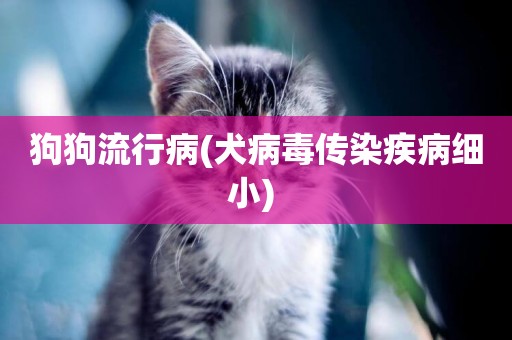 狗狗流行病(犬病毒傳染疾病細小) 