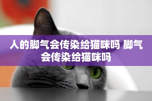 人的腳氣會傳染給貓咪嗎 腳氣會傳染給貓咪嗎