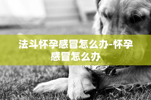 法斗懷孕感冒怎么辦-懷孕感冒怎么辦