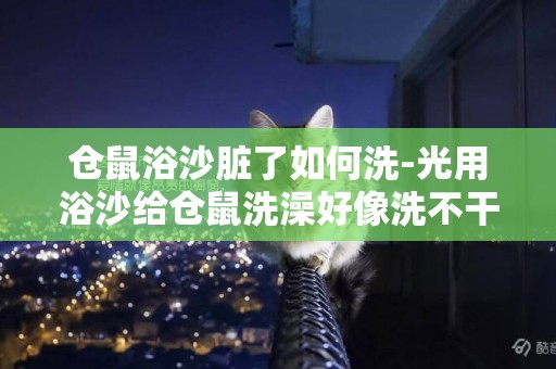 倉鼠浴沙臟了如何洗-光用浴沙給倉鼠洗澡好像洗不干凈，一般都怎么洗的