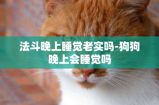 法斗晚上睡覺老實嗎-狗狗晚上會睡覺嗎