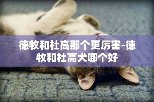 德牧和杜高那個更厲害-德牧和杜高犬哪個好