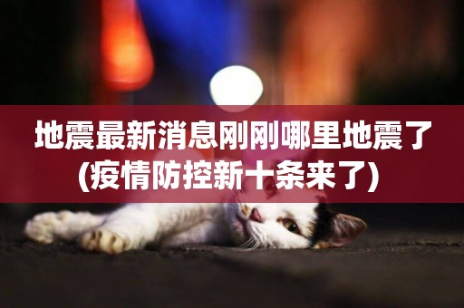 地震最新消息剛剛哪里地震了(疫情防控新十條來了) 