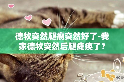 德牧突然腿瘸突然好了-我家德牧突然后腿癱瘓了？