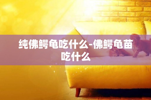 純佛鱷龜吃什么-佛鱷龜苗吃什么