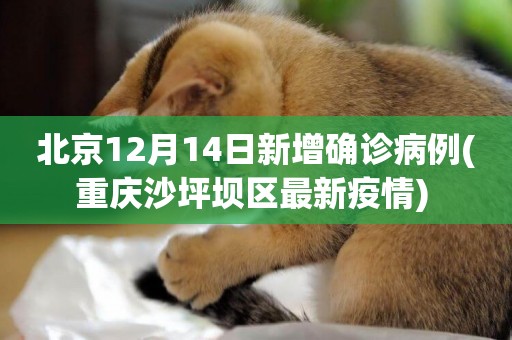 北京12月14日新增確診病例(重慶沙坪壩區最新疫情) 