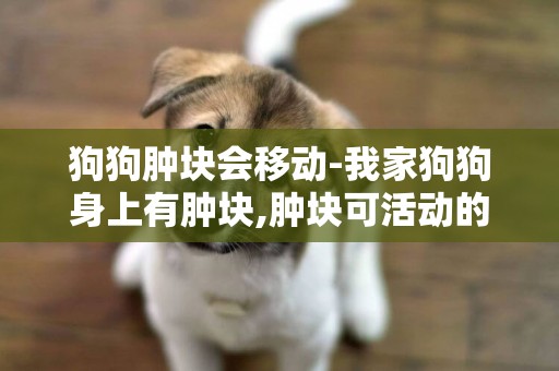 狗狗腫塊會移動-我家狗狗身上有腫塊,腫塊可活動的,捏腫塊也不疼一定要手術嗎