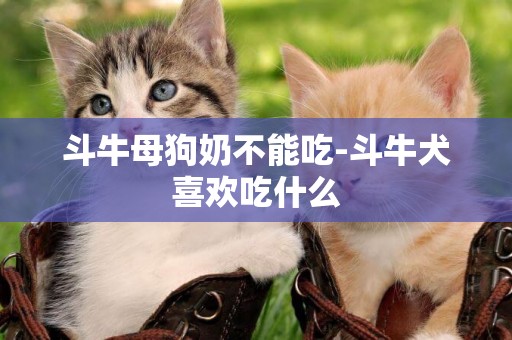 斗牛母狗奶不能吃-斗牛犬喜歡吃什么