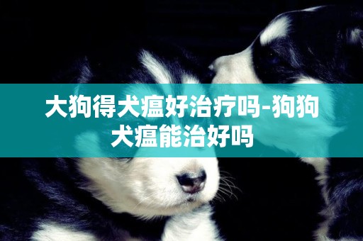 大狗得犬瘟好治療嗎-狗狗犬瘟能治好嗎
