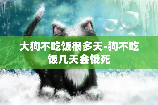 大狗不吃飯很多天-狗不吃飯幾天會餓死