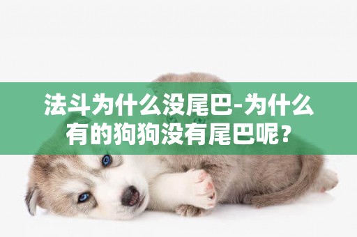 法斗為什么沒尾巴-為什么有的狗狗沒有尾巴呢？
