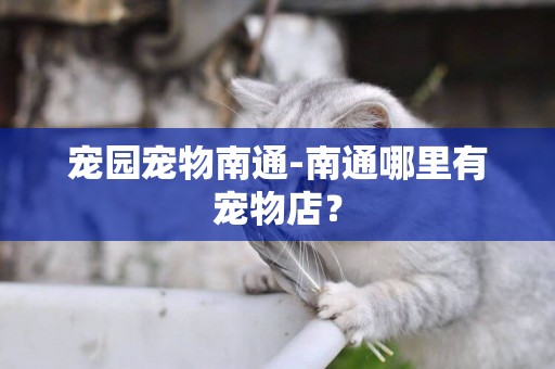 寵園寵物南通-南通哪里有寵物店？
