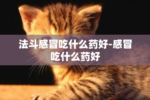 法斗感冒吃什么藥好-感冒吃什么藥好
