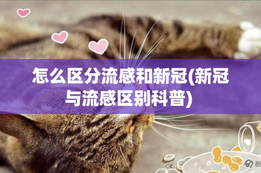 怎么區分流感和新冠(新冠與流感區別科普) 