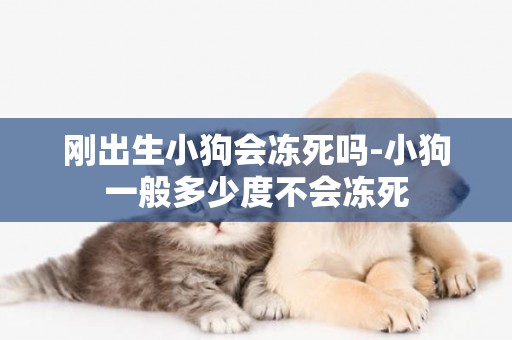 剛出生小狗會凍死嗎-小狗一般多少度不會凍死