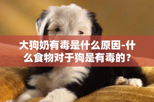 大狗奶有毒是什么原因-什么食物對于狗是有毒的？