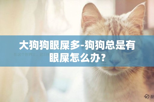 大狗狗眼屎多-狗狗總是有眼屎怎么辦？