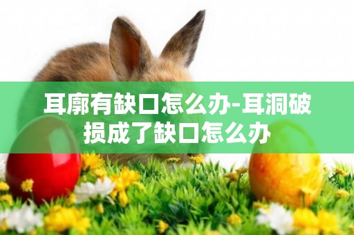 耳廓有缺口怎么辦-耳洞破損成了缺口怎么辦