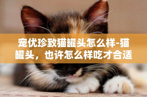 寵優珍致貓罐頭怎么樣-貓罐頭，也許怎么樣吃才合適?