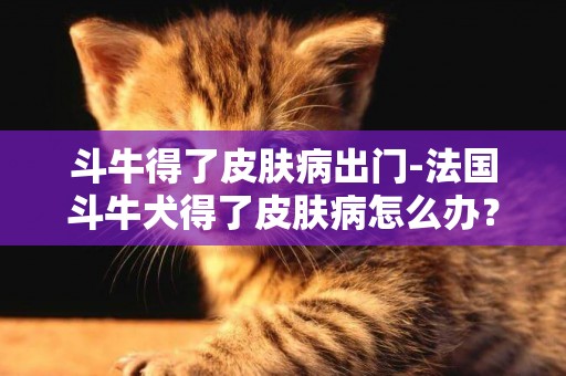 斗牛得了皮膚病出門-法國斗牛犬得了皮膚病怎么辦？