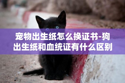 寵物出生紙怎么換證書-狗出生紙和血統證有什么區別嗎？