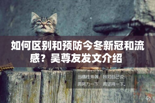 如何區別和預防今冬新冠和流感？吳尊友發文介紹 