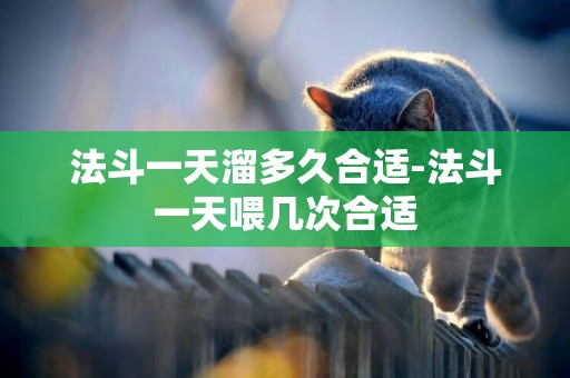 法斗一天溜多久合適-法斗一天喂幾次合適