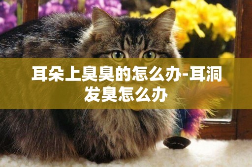 耳朵上臭臭的怎么辦-耳洞發臭怎么辦
