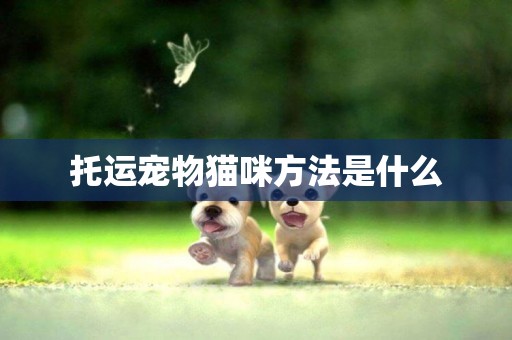 托運寵物貓咪方法是什么