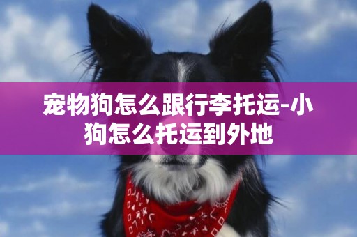 寵物狗怎么跟行李托運-小狗怎么托運到外地