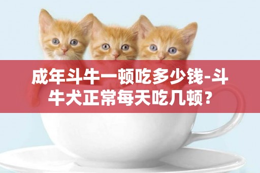 成年斗牛一頓吃多少錢-斗牛犬正常每天吃幾頓？