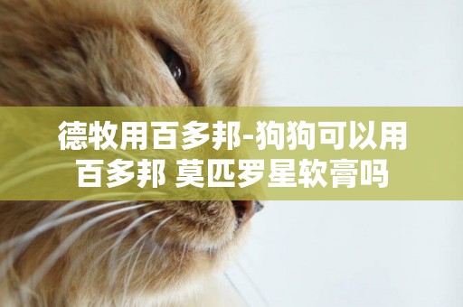 德牧用百多邦-狗狗可以用百多邦 莫匹羅星軟膏嗎