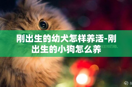 剛出生的幼犬怎樣養活-剛出生的小狗怎么養