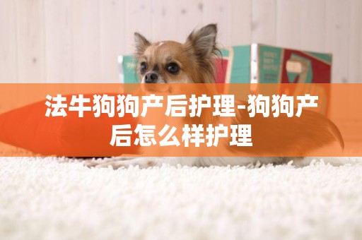 法牛狗狗產后護理-狗狗產后怎么樣護理